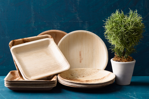 A Guide to compostable plates and how to dispose them correctly!