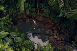 Nice day for a green wedding