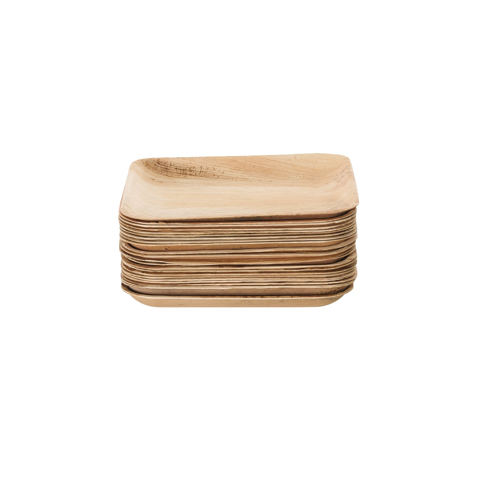 23 x 15cm Palm Leaf Rectangular Plates