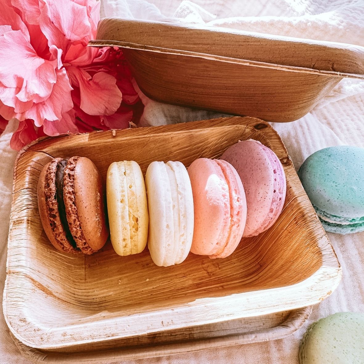 Palm Leaf Containers with Lids  750ml